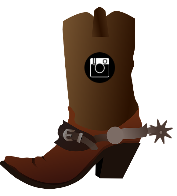 cowboy boot - instagram